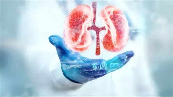 فحوصات مهمة تكشف أمراض الكلى في مراحلها المبكرة