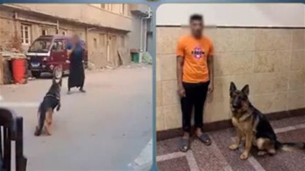 الداخلية تكشف ملابسات فيديو دفع كلب لمهاجمة سيدة في البحيرة وتضبط المتهم