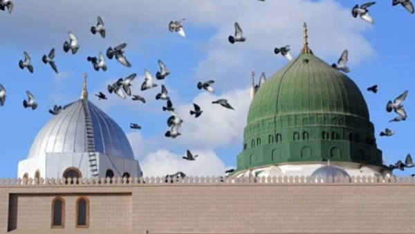 هذا العمل يجعلك في جوار النبي .. علي جمعة يوضحه