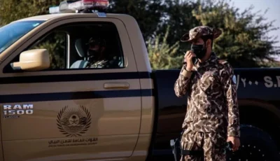 الأمن البيئي يضبط مخالفا برعي 49 من الإبل في محمية تركي بن عبدالله