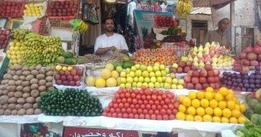 استقرار أسعار الخضراوات بمطروح.. الطماطم من 12 جنيها