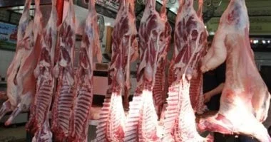 أسيوط.. اللحوم البلدي بـ400 جنيه والفراخ البيضاء بـ76