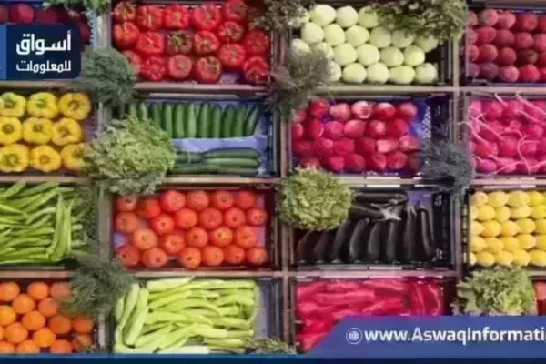 اسعار الخضار اليوم اليوم
