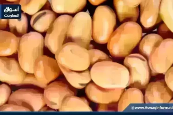 سعر الفول اليوم