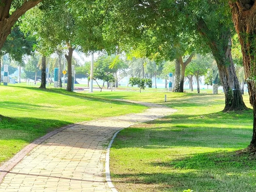 الجبيل الصناعية تخفض الحرارة 5 درجات عبر التوسع في التشجير