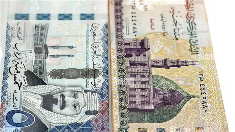 الريال السعودي يستقر قرب 13.50 جنيه مع فروق طفيفة بين بنوك مصر