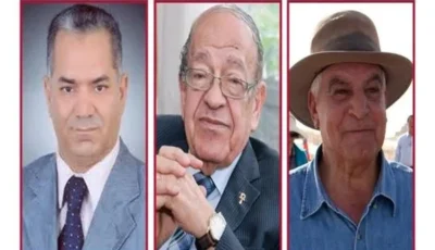 المجلس الأعلى للإعلام يؤكد حق وسيم السيسي في التعبير بشرط