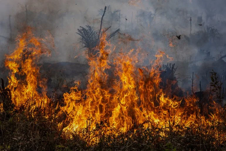 حريق واحة أوفوس في المغرب يلتهم نحو 600 نخلة بالكامل