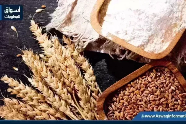 شرطة التموين اليوم