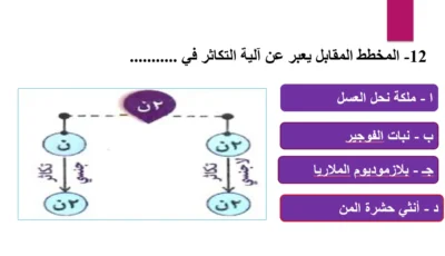 مراجعة نهائية في الأحياء قبل امتحان الثانوية العامة وتحقيقات في