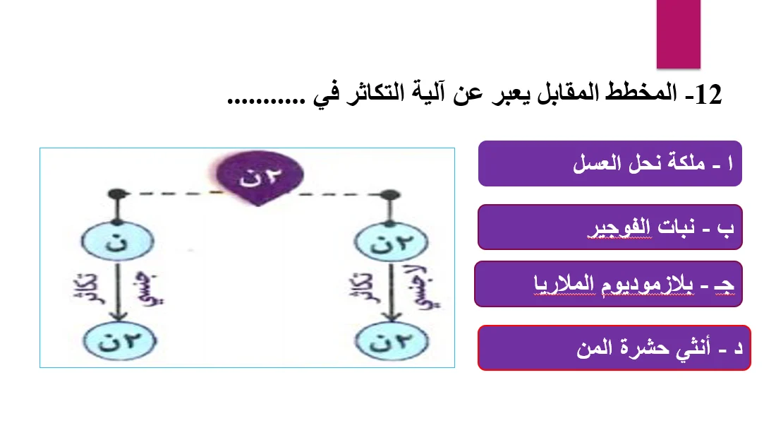 مراجعه نهائيه احياء امتحان اليوم