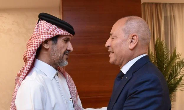 وزير الشباب والرياضة يزور السفارة القطرية لتقديم واجب العزاء في