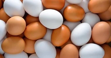 تفاصيل سعر البيض اليوم