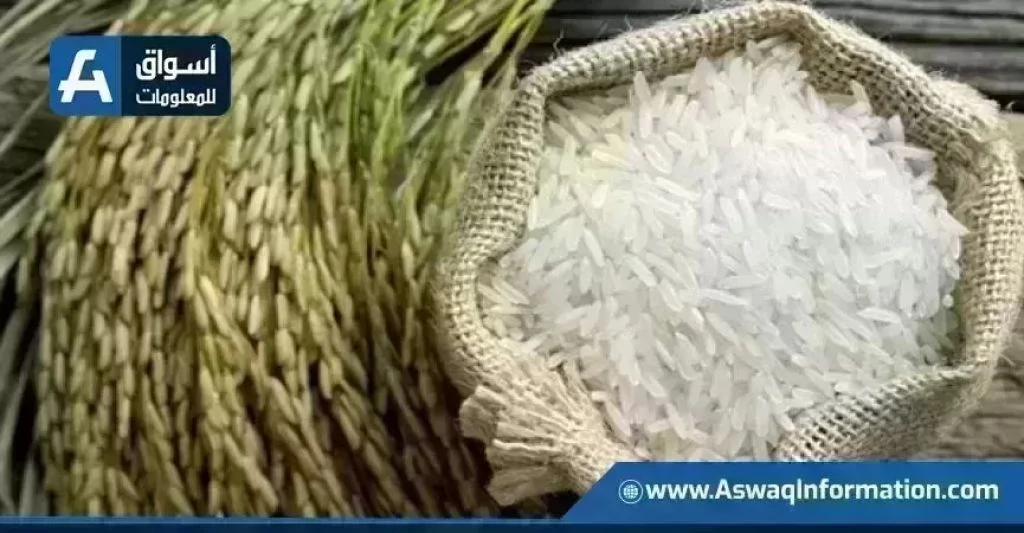 اسعار الارز تستقر في مصر اليوم الاثنين 6 يوليو
