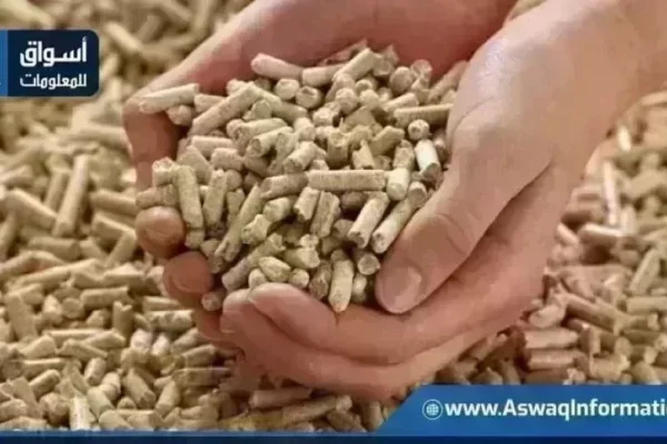 اسعار - استقرار اسعار الاعلاف عند التاجر اليوم في مصر