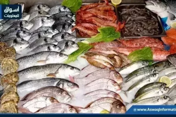 استقرار اسعار السمك بسوق العبور اليوم الاحد 5 يوليو