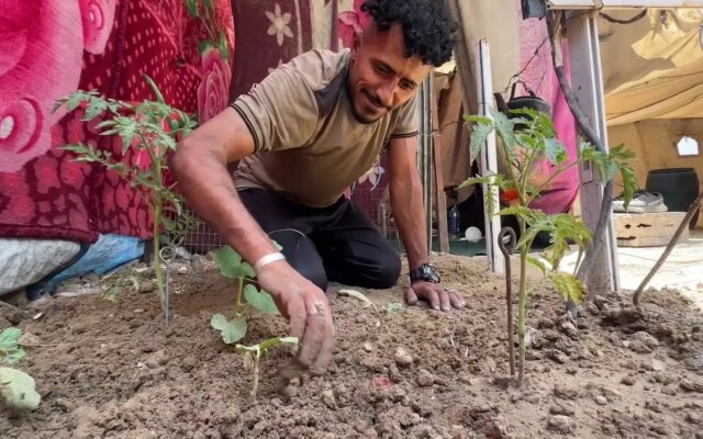 تحت الركام والقصف.. مزارعو غزة يزرعون “البقاء والأمل” بين الخيام | سياسة
