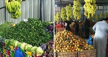 مطروح: العنب بـ50 جنيها والمانجو تصل لـ100 في أسواق الفاكهة