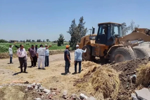 تفاصيل الزراعة المصرية