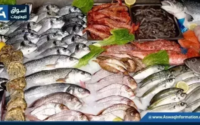 قفزة في البوري واستقرار عام في اسعار السمك