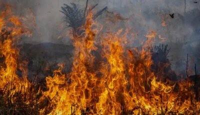 حريق واحة أوفوس في المغرب يلتهم نحو 600 نخلة بالكامل