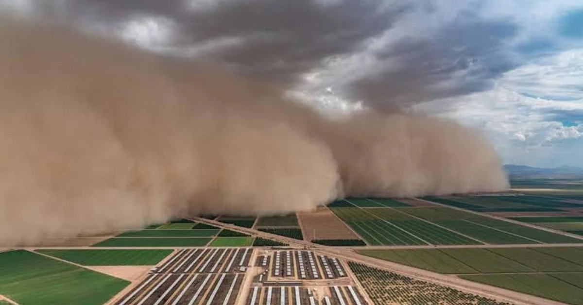 المركز الوطني للأرصاد: انحسار العواصف الغبارية 99% في السعودية