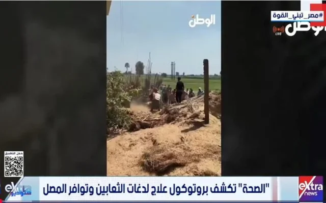 البحث عن الثعابين والكوبرا مستمر في قرية القراقرة بالشرقية.. وتساؤلات الأهالي تتصدر المشهد
