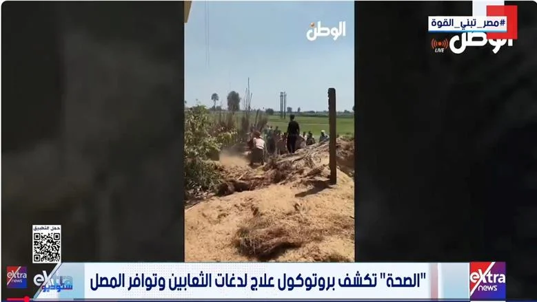 البحث عن الثعابين والكوبرا مستمر في قرية القراقرة بالشرقية.. وتساؤلات الأهالي تتصدر المشهد