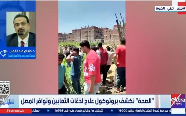 الصحة: أمصال العقارب والثعابين متوفرة بكامية.. والوصفات الشعبية تهدد حياة المصابين