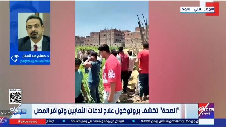 الصحة: أمصال العقارب والثعابين متوفرة بكامية.. والوصفات الشعبية تهدد حياة المصابين