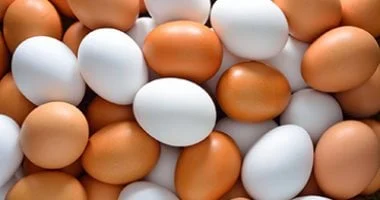 سوهاج.. كرتونة البيض بـ110 جنيه وأسعار الألبان اليوم