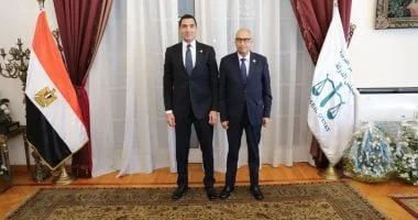 تفاصيل مجلس الدولة
