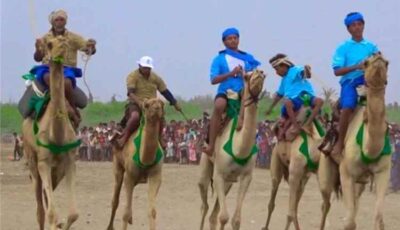 المشهد اليمني – هرجان تراثي حاشد في الحديدة يحتفي بموسم التمور ويفاجئ الزوار بفعاليات مثيرة