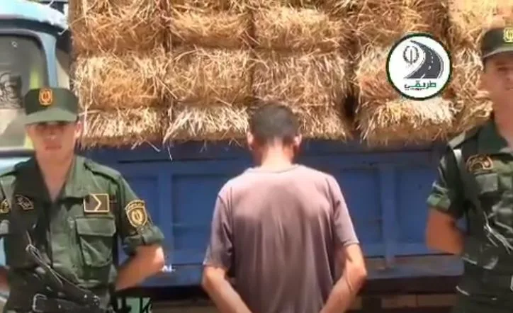 عين تموشنت.. توقيف سائق شاحنة قام بمناورات خطيرة