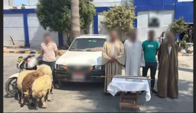 ضبط صاحب فيديو مطاردة تجار الخراف بالمنتزه