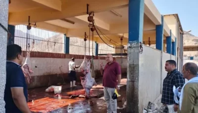 محافظ أسيوط: متابعة للمجازر للتأكد من كفاءة التشغيل وانتظام العمل