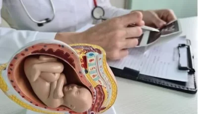 باحثون : الفانيلين قد تشكل خطرا على تطور الأجنة