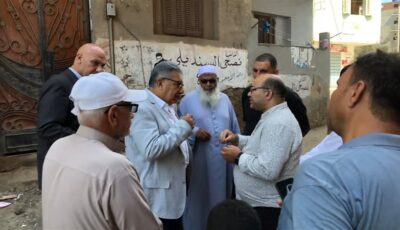 محافظ الدقهلية يتابع مستوى الخدمات المقدمة للمواطنين بقرية ديمشلت