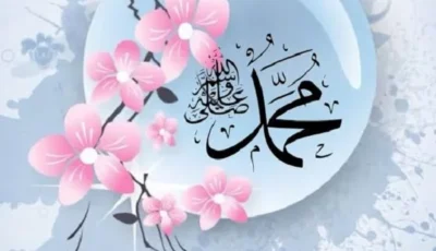 الأوقاف:طيب النسب وشرف المنبت من خصائص ميلاد النبي ﷺ