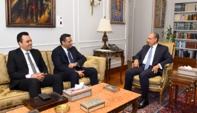 وزير الخارجية يستقبل نقيب الصحفيين ورئيس لجنة الشئون العربية ويشيد بالدور الوطني للصحافة المصرية