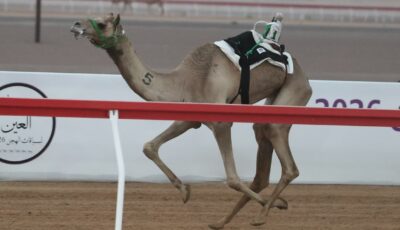 ” الفهدة” تتصدر أول أشواط “الإيذاع” بمهرجان العين للهجن وسياف يحصد”أفضل توقيت”