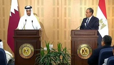 وزير الخارجية يؤكد رفض مصر المساس بحرية الملاحة في الخليج
