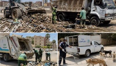 تراكم القمامة والحيوانات الضالة يتصدران.. 9129 شكوى وبلاغًا بيئيًا خلال يوليو