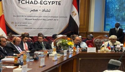 مصر تدعم قطاع الصحة في تشاد.. تكنولوجيا تصنيع الأدوية وبناء مستشفيات إقليمية