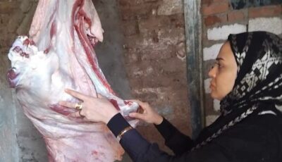 بيطري المنيا يحرر 33 محضرا ويضبط 864 كيلو لحوم ودواجن وأسماك فاسدة