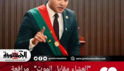 مرافعة للنيابة تهز قاعة المحكمة في قضية قتل أم على يد نجلها بشبرا