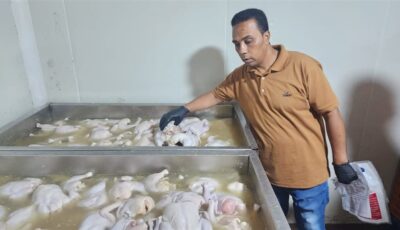 حملة رقابية مكبرة تضبط 5 أطنان من مصنعات اللحوم والدواجن الفاسدة بالدقهلية