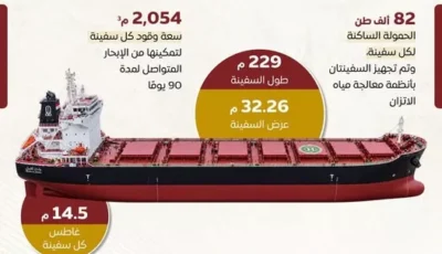 مجلس الوزراء يكشف مواصفات سفينتي الصب الجاف الجديدتين