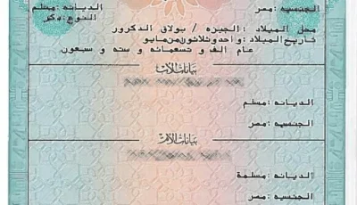 ماذا عن استخراج شهادة ميلاد للمصريين بالخارج؟