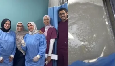 إنقاذ حمل حرج باستخدام “السائل الأمنيوسي” بمستشفيات جامعة بنها